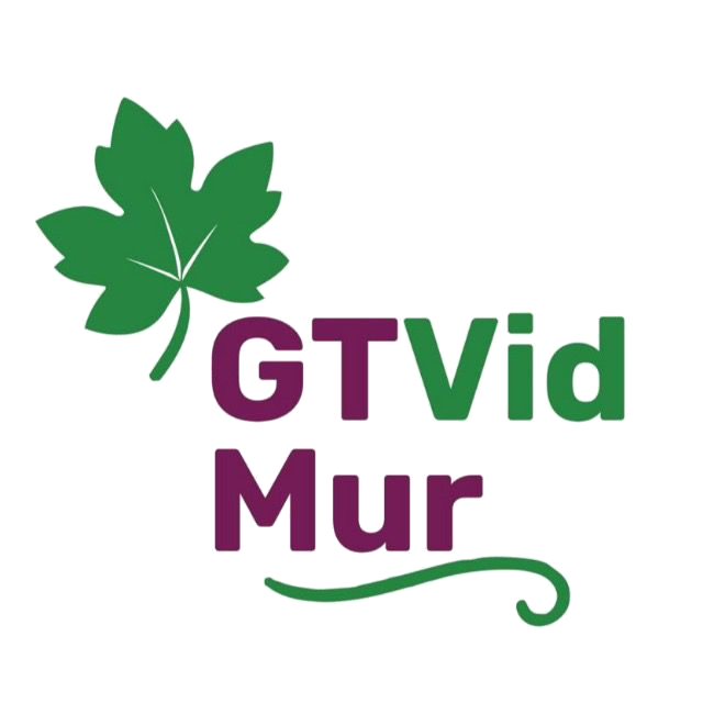 GTVidMur